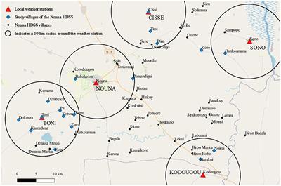 The Impact of Rainfall Variability on Diets and Undernutrition of Young Children in Rural Burkina Faso